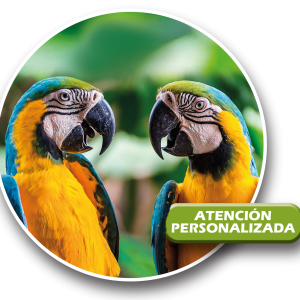 LOROS